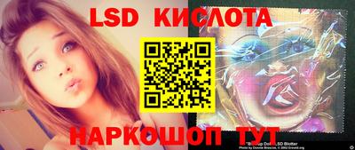 стаф Новодвинск