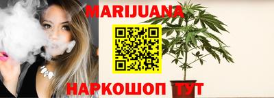 стафф Новозыбков