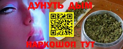 стаф Новодвинск