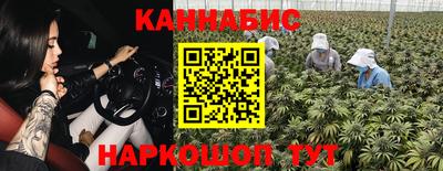 стаф Новодвинск