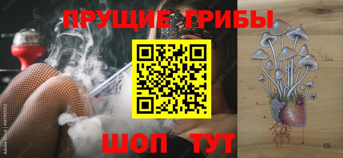 Галлюциногенные грибы Magic Shrooms Сатка